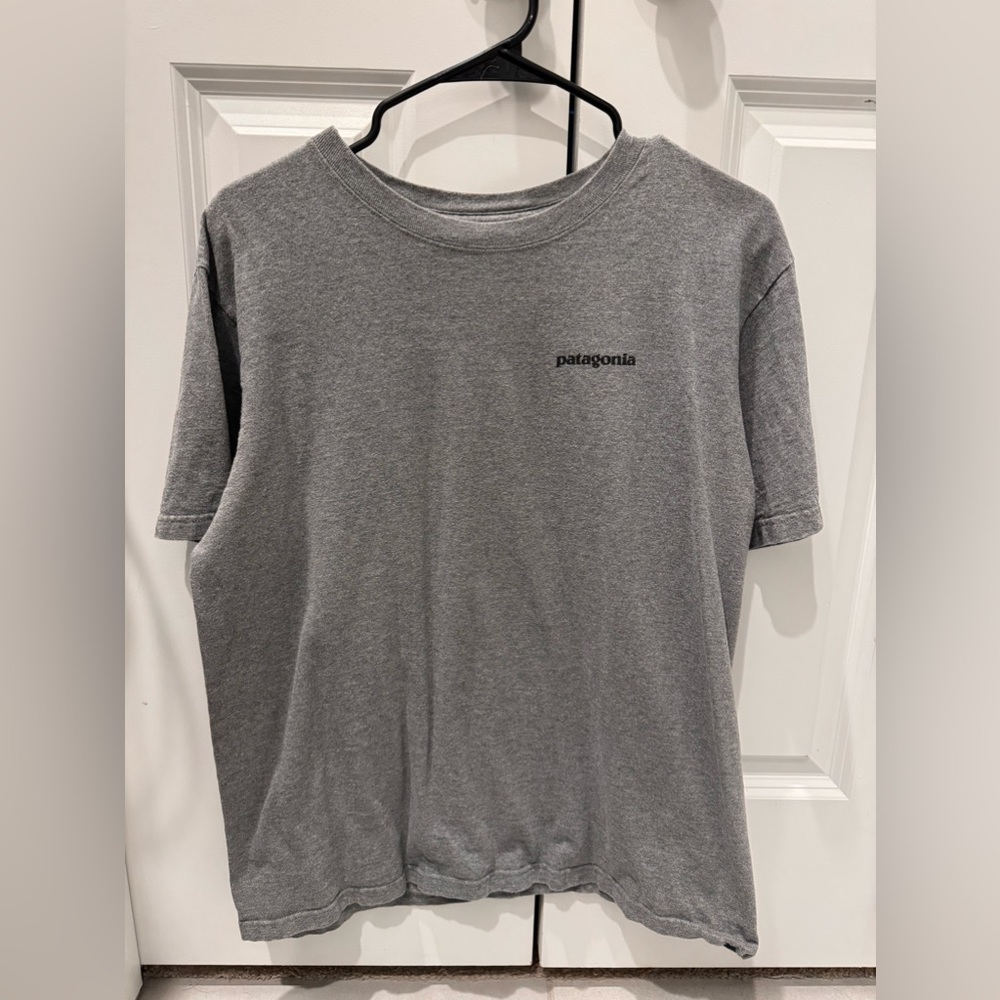 Patagonia Tshirt